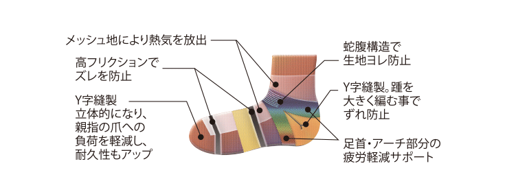 アンクルソックス　ホールド感を追求した立体デザイン